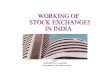 Working of Stock Exchanges