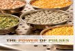 The Power of Pulses- Northern Pulse Growers Assoc
