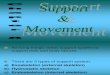 Chp. 8 Support and Movement (1)