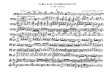 Dvorak Cello Concerto (Cello Part)