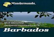 Landmarks and attractions of Barbados