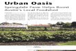 Urban farm in Austin