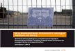 The Palestinian Prisoners Hunger Strikes of 2012: Political, Moral, Medical and Ethical Challenges Encountered While Treating Palestinian Prisoners on Hunger Strike in Israeli Prisons