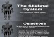 Ana&Physio 5 - The Skeletal System.pdf
