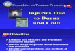 Chapter 9, Injuries Due to Burns and Cold