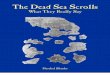 Dead Sea Scrolls What They Really Say