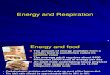 46554804 IB Chem Biochemistry Energy and Respiration 6