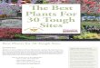 86977719 Best Plants for 30 Tough Sites