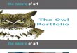 The Nature of Art Owls