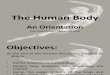 Ana&Physio 1 - The Human Body - An Orientation