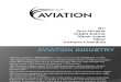 Aviation industry strategy