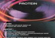 protein terasi