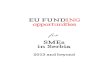 EU Funding Opportunities for SMEs in Serbia
