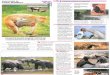 Wildlife Fact File - Animal Behavior - Pgs. 11-20