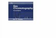 Gas Chromatography Analytical Chemistry