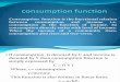 Macro Ch4 Consumption Function