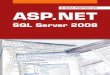 O gua prático ASP.net com SQL server 2008