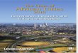 43837385 the State of African Cities 2010