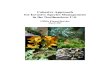 Cohesive Approach Invasive Species Management 2007 for Northeastern United States.pdf