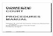 Domestic Violence Court Procedures Manual (2009)