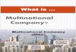 Financial Accounting Framework with Multinational Company (MNC)