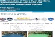 Differentiation of Toxic Cyanobacteria Aphanizomenon flos-aquae and Microcystis aeruginosa Spectra