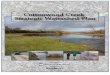Cottonwood Creek Strategic Watershed Plan