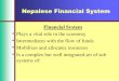 FIM-01-Nepalese Financial System - Copy