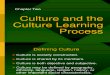 Ch2 Culture Learning Process