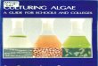 49965842 Culturing Algae