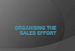 2.Organising the Sales Effort