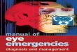 17691690 Manual of Eye Emergencies Diagnosis and Management