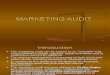 Marketing Audit1
