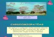 Cardiomiopatías II hora 2012