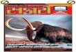 Safari Gujarati Magazine July-2011 Issue No-206