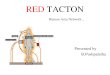 431 Red Tacton