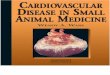 Cardiovascular Disease in Small Animal Medicine ( Vetcvas )