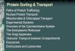 Protein Sorting and Transport