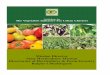 Vegetable Initiative for Urban Clusters_RAIPUR_CHHATISGARH