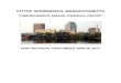 Springfield FY2011 Comprehensive Annual Financial Report