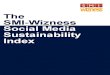 RSE - Social Media Sustainability Report [SMI]