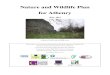 Action for Nature - Athenry