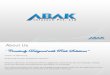 Abak Infotech - Company Profile
