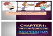 Chapter 1 - Human Respiratory System