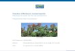 Castor (Ricinus communis): Potential of castor for bio-fuel production