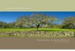 2006 Annual Report Sonoma Land Trust