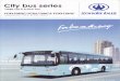 City Bus Series (Large City & School Bus)