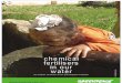Chemical Fertilisers in Our Water