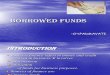 Borrowed Funds