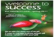 Welcome To Success - the GROWTH edition